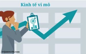 LÝ THUYẾT CUNG CẦU TRONG KINH TẾ VI MÔ (2)