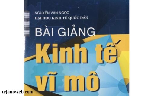 Sách Bài Giảng Kinh Tế (1)