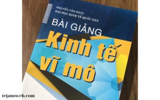 Sách Bài Giảng Kinh Tế (2)